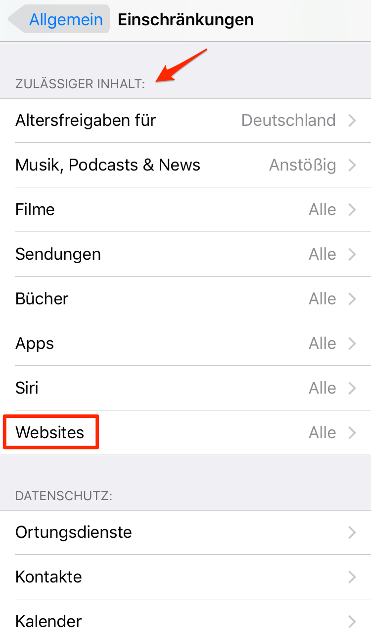 Website auswählen – Schritt 2